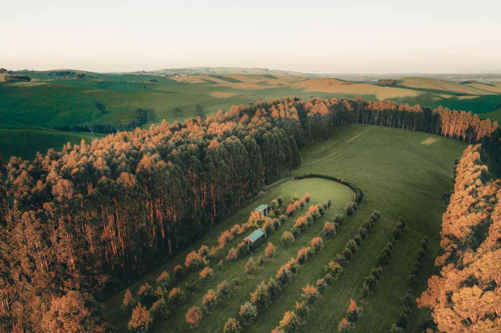 Little Sprout at The Grove seen in an aerial shot that shows the olive grove and eucalyptus forest.