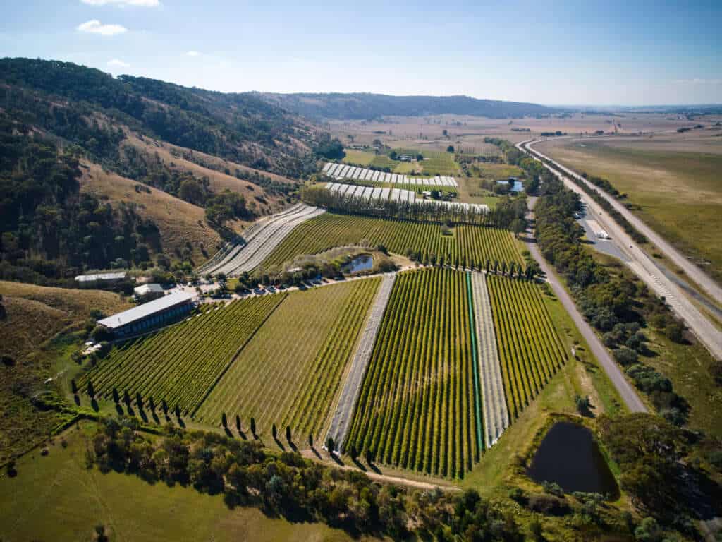 Aerial view of Lerida Estate Vineyard in Collector, NSW.